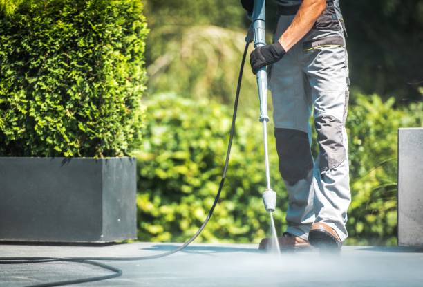 Best House Exterior Washing  in Cressona, PA